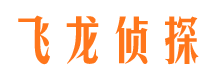 盐湖侦探公司